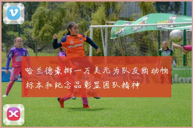 哈兰德豪掷一万美元为队友购动物标本和纪念品彰显团队精神