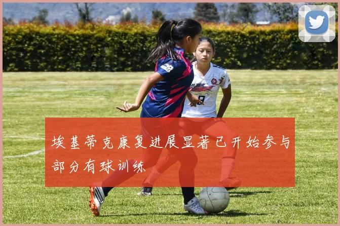 埃基蒂克康复进展显著已开始参与部分有球训练